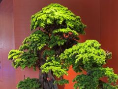 -阿伟海鲜楼·福建菜(延寿店)