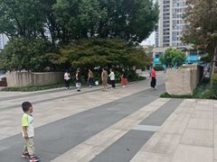 -青枫公园
