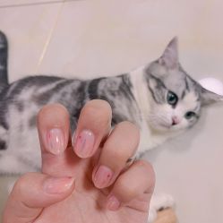 -Touch Nail·品质·美甲美睫