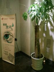 -女王传奇SPA·美容美体