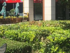 -翠花老菜饺子馆(七宝店)