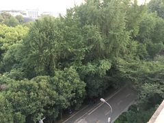 -武汉大学-樱园