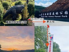 -汤旺河林海奇石景区