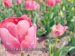 -上海辰山植物园