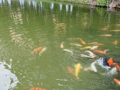 -珠海圆明新园