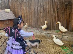 -HERRE·FARM 赫尔露营农场·团建聚会包场