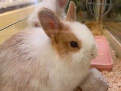 -龙猫仔乐园(惠福东路店)