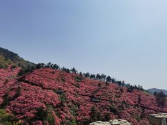 -木兰云雾山