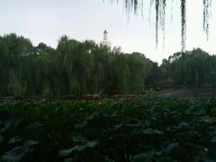 android_upload_pic-锦江之星(济南大明湖店)