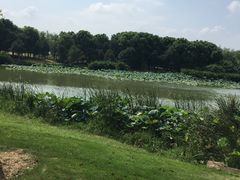 -艾溪湖湿地公园