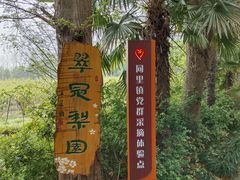 -同里国家湿地公园