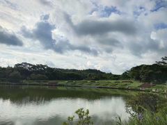 -东莞植物园