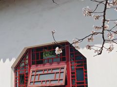 -堤角公园