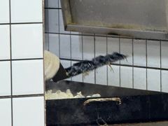 -众品老方子锅贴甜沫(李村店)