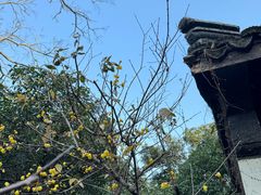 -惠山古镇·寄畅园