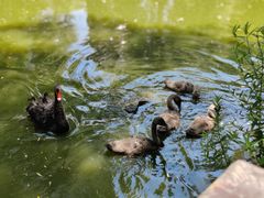 -济南野生动物世界