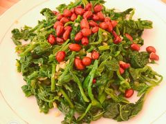 黄河苜蓿菜-衡哥肉铺