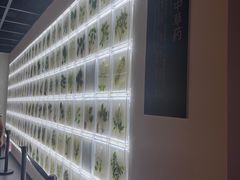 -广东中医药博物馆