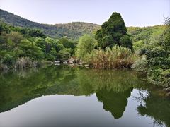 -习家池