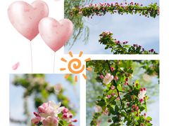 -海棠花溪(元大都城垣遗址公园)