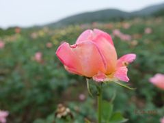 -苏州吴中太湖旅游区