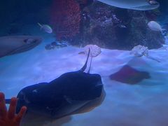 -沈阳海洋探索中心