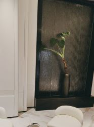 -奥斯芬·欧系贵族SPA