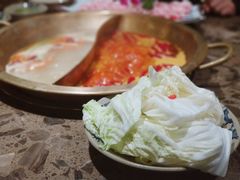 大白菜-小龙坎老火锅(金柏林店)