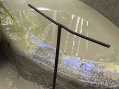 -100蛋泥浆浴