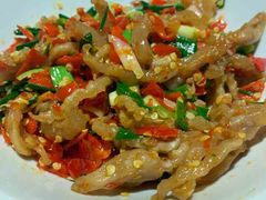 鸭掌筋-壹盏灯(蚂蚁工房店)