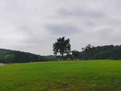 -羊山湖公园
