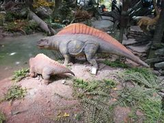 -湖南省地质博物馆