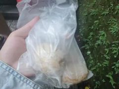 -金盆阿嬷香菇茶叶蛋(玄光店)