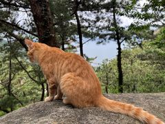 -崂山仰口游览区