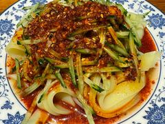 -柴窝堡22号辣子鸡·传承新疆菜