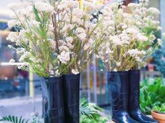 -PlantsEatery·植物食堂(REX春熙店)