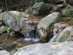 -北仑森林植物园