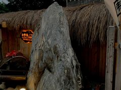 -三圣花乡旅游区