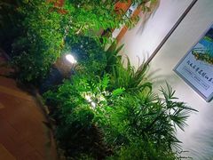 -山壹竹庭院餐厅