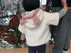 -花花卷卷·鲜食蛋糕(静安久光百货店)