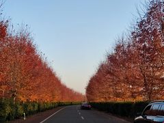 -南京枫彩漫城