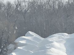 -长春市南湖公园