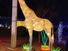 -南宫五洲植物乐园