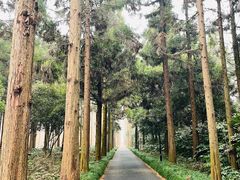 -上海怡沁园度假酒店
