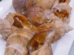 -华盛丰温州大排档(东三环南路店)