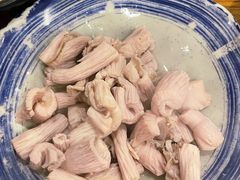 羊肚仁-金生隆(六铺炕店)