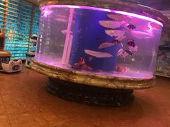 -印象·浅水湾(百乐门大厦店)