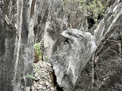 -玉石林风景区