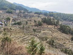 -紫鹊界梯田景区