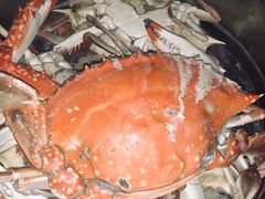 -济南海鲜大市场